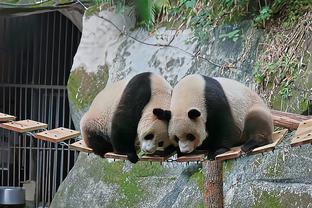 范德法特批评德容：他在向前传球这一点上花的时间太多了