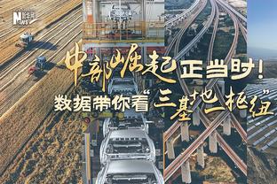 差距明显！掘金全队抢下51个篮板&湖人38个 前场板14-8